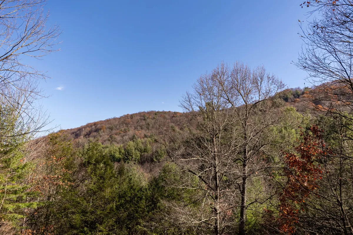 This image presents a breathtaking view of a mountain range framed by both bare and evergreen trees, evoking the expansive, natural beauty of the Blue Ridge Parkway. The serene landscape captures the essence of the region's appeal for scenic drives, nature photography, and hiking adventures.